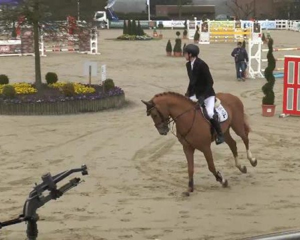 Reitturnier Werne-Lenklar 2013