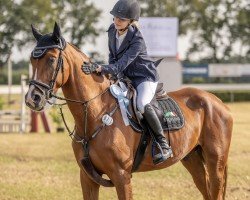 jumper Vamonos H (Hanoverian, 2020, from Viscerado)