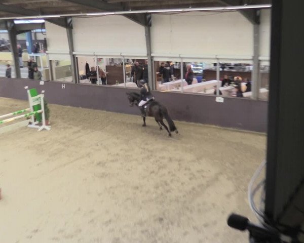 Reitturnier Legden 2021