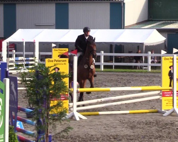 Reitturnier Mildstedt - Jumping Team Nord 2024