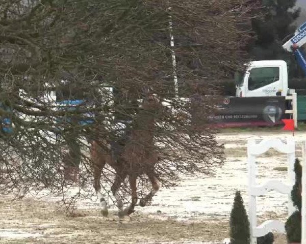 Reitturnier Werne-Lenklar 2013