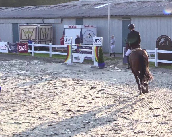 Reitturnier Mildstedt - Jumping Team Nord 2024