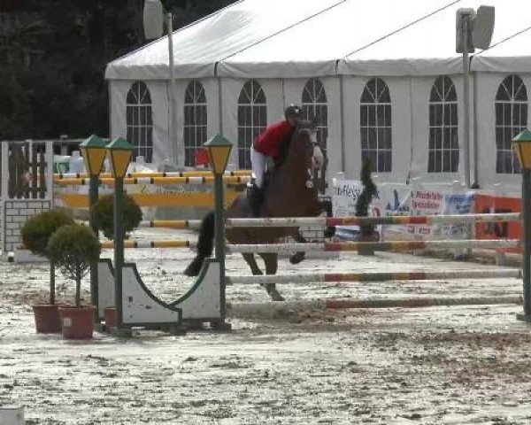 Reitturnier Werne-Lenklar 2013