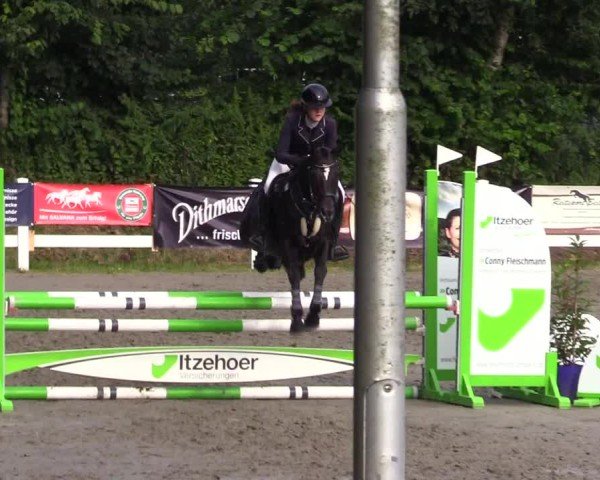 Reitturnier Mildstedt - Jumping Team Nord 2024