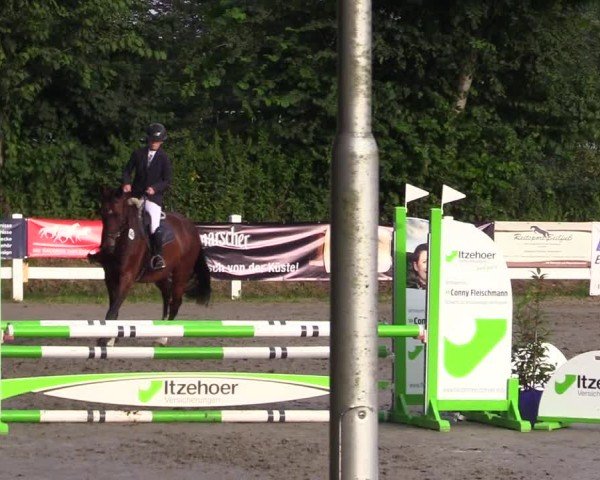 Reitturnier Mildstedt - Jumping Team Nord 2024
