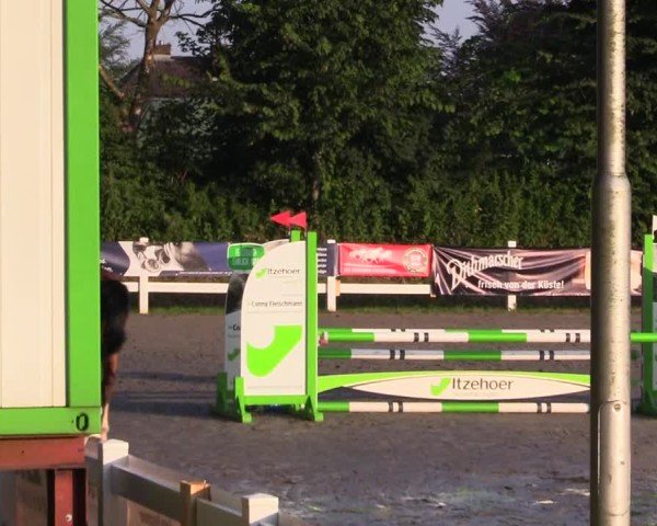 Reitturnier Mildstedt - Jumping Team Nord 2024