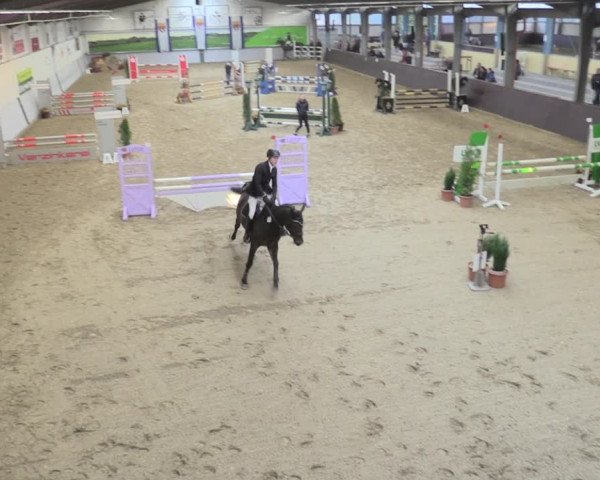 Reitturnier Legden 2021