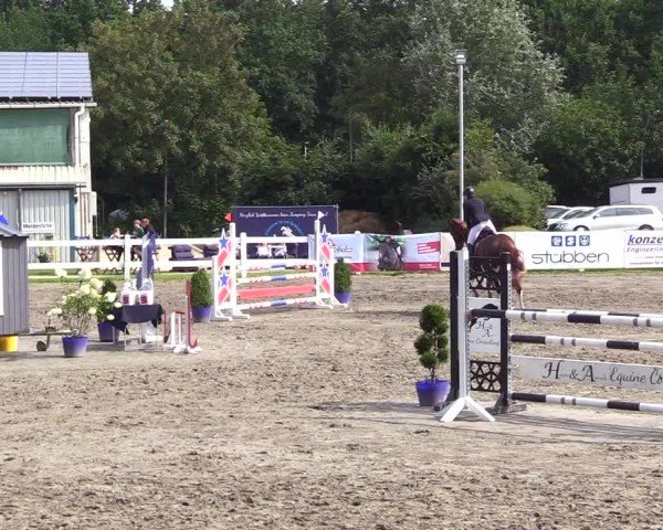 Reitturnier Mildstedt - Jumping Team Nord 2024