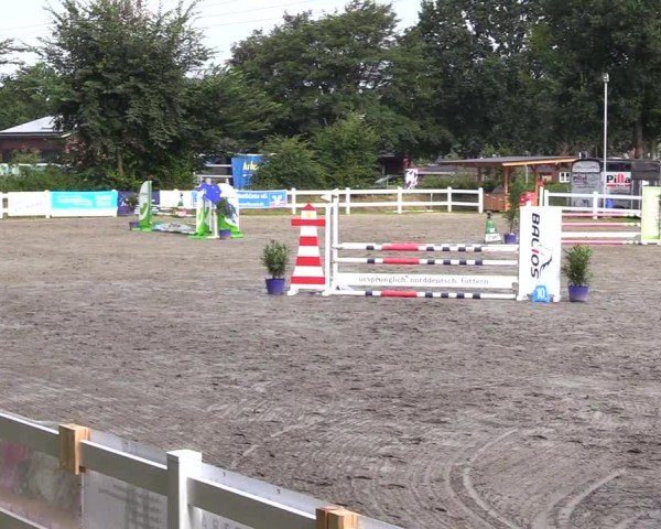 Reitturnier Mildstedt - Jumping Team Nord 2024