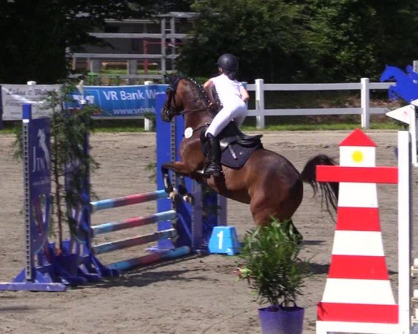 Reitturnier Mildstedt - Jumping Team Nord 2024