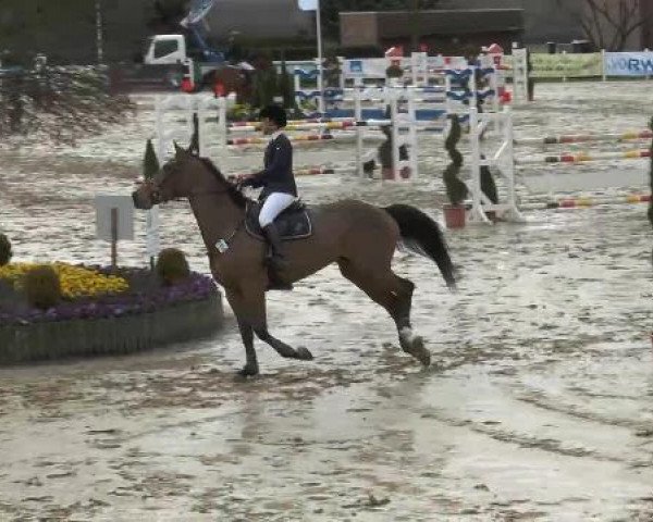 Lenklarer Reitertage auf der Reitsportanlage Gripshöver 2013