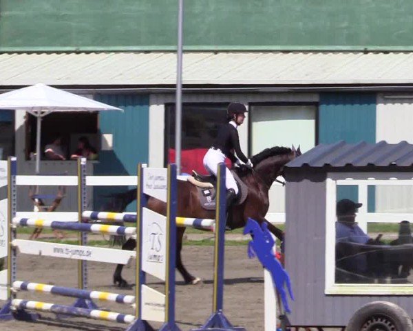 Reitturnier Mildstedt - Jumping Team Nord 2024