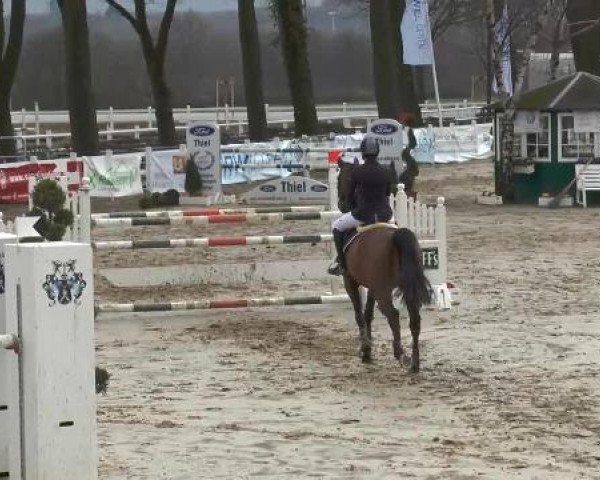Lenklarer Reitertage auf der Reitsportanlage Gripshöver 2013