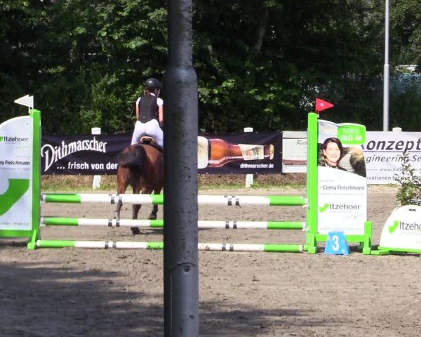 Reitturnier Mildstedt - Jumping Team Nord 2024