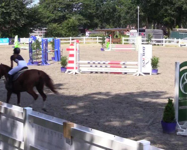 Reitturnier Mildstedt - Jumping Team Nord 2024