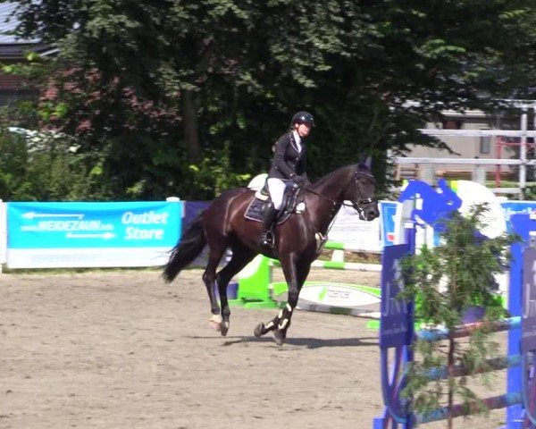Reitturnier Mildstedt - Jumping Team Nord 2024