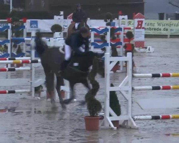 Lenklarer Reitertage auf der Reitsportanlage Gripshöver 2013