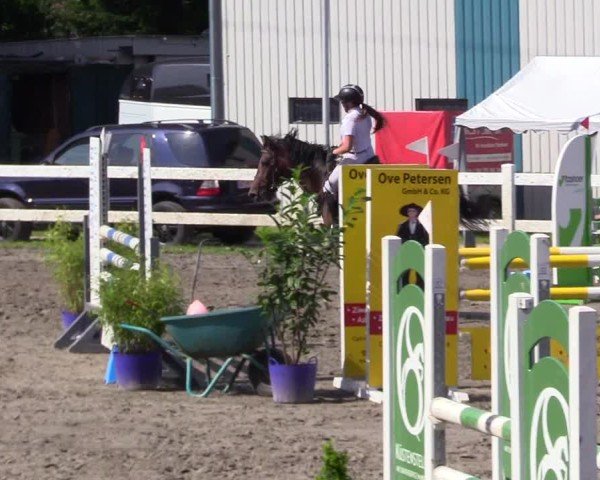Reitturnier Mildstedt - Jumping Team Nord 2024