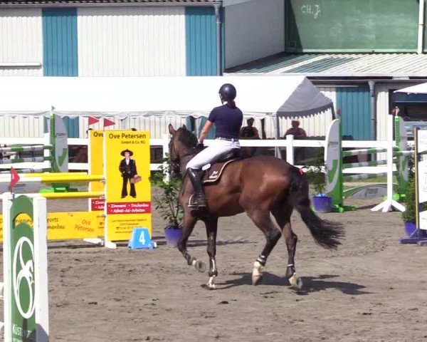 Reitturnier Mildstedt - Jumping Team Nord 2024