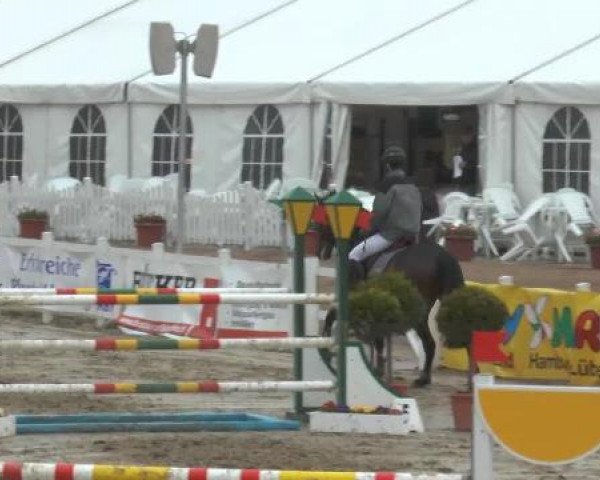 Lenklarer Reitertage auf der Reitsportanlage Gripshöver 2013