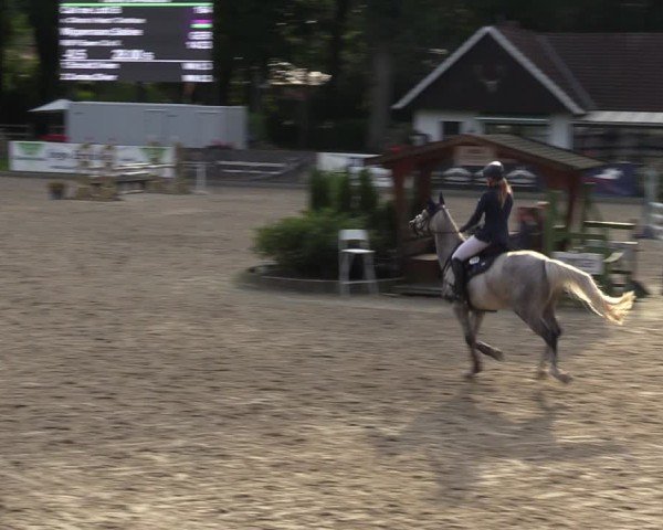 Reitturnier Klein Roscharden 2024