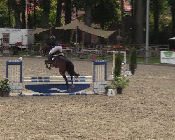 Reitturnier Klein Roscharden 2024