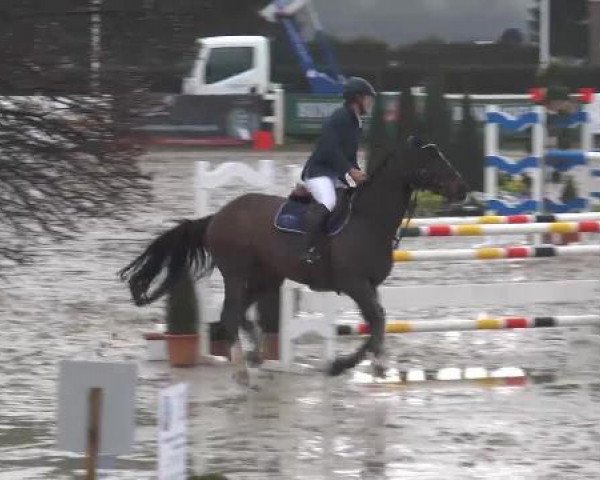 Reitturnier Werne-Lenklar 2013
