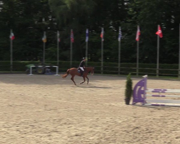Reitturnier Klein Roscharden 2024