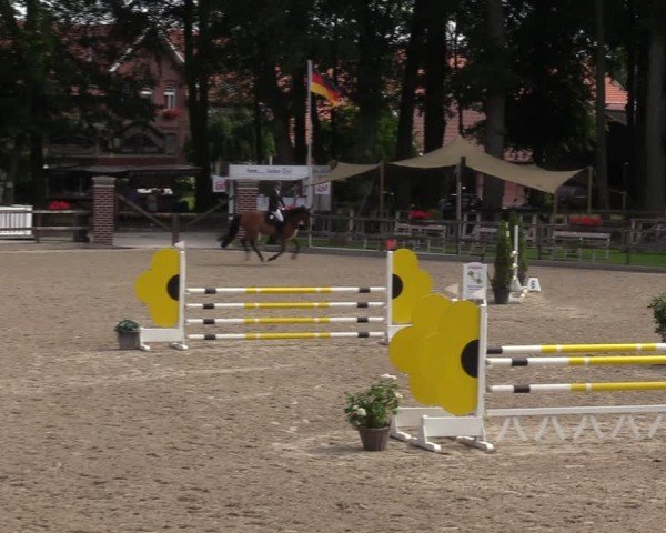 Reitturnier Klein Roscharden 2024