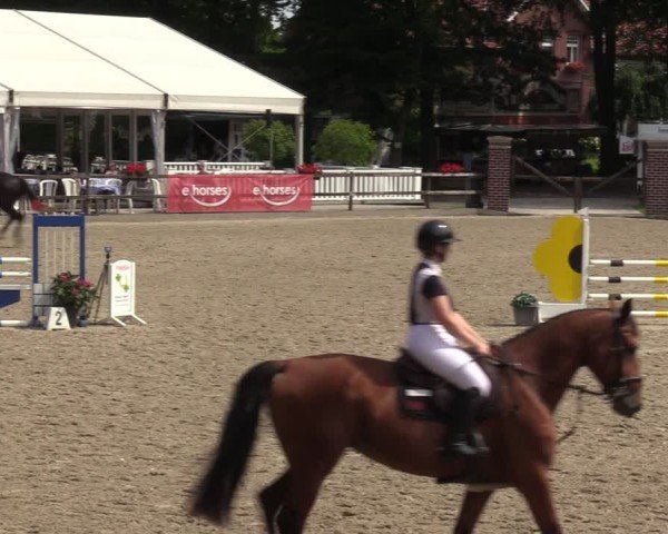 Reitturnier Klein Roscharden 2024