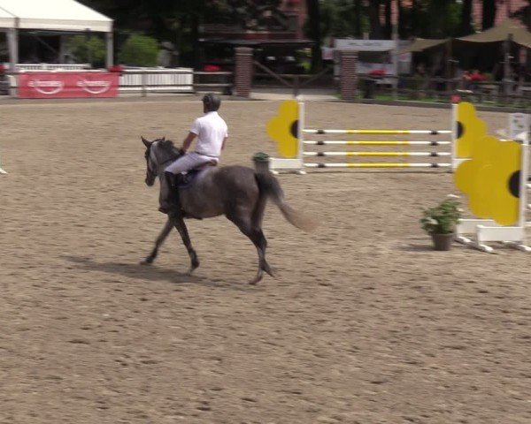 Reitturnier Klein Roscharden 2024