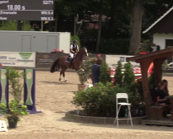 Reitturnier Klein Roscharden 2024