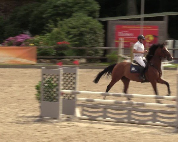 Reitturnier Klein Roscharden 2024