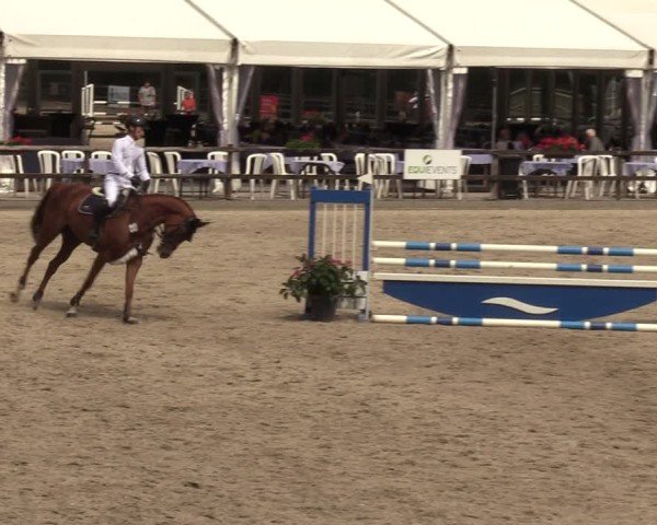 Reitturnier Klein Roscharden 2024