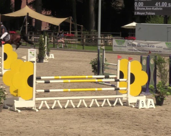 Reitturnier Klein Roscharden 2024