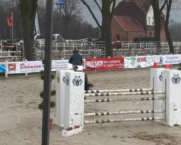 Lenklarer Reitertage auf der Reitsportanlage Gripshöver 2013
