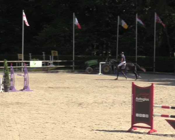 Reitturnier Klein Roscharden 2024