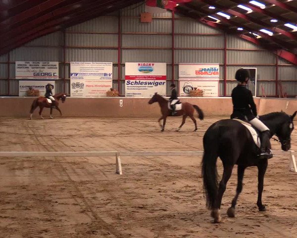 Reitturnier Behrendorf 2021