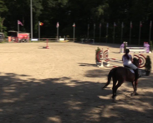 Reitturnier Klein Roscharden 2024