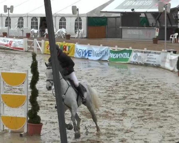 Lenklarer Reitertage auf der Reitsportanlage Gripshöver 2013