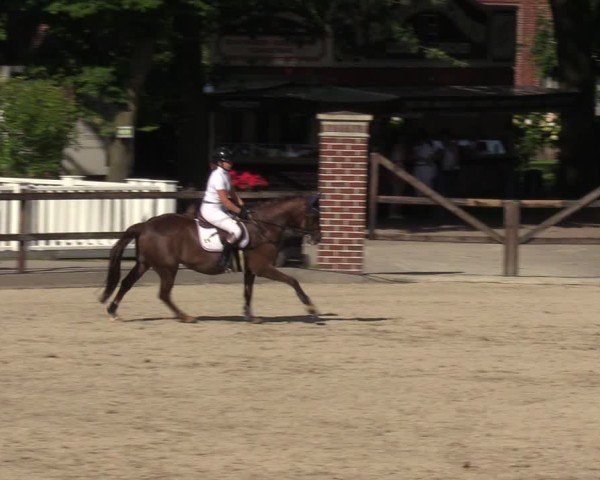 Reitturnier Klein Roscharden 2024