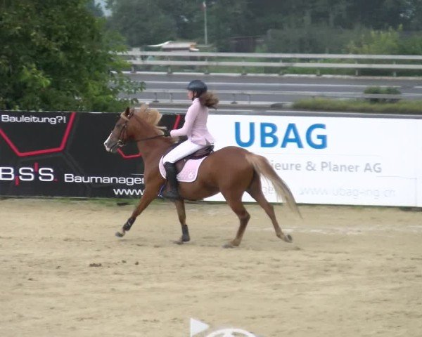 Reitturnier Wädenswil 2024