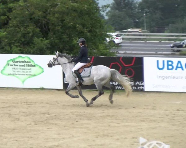 Reitturnier Wädenswil 2024