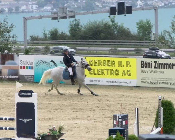 Reitturnier Wädenswil 2024