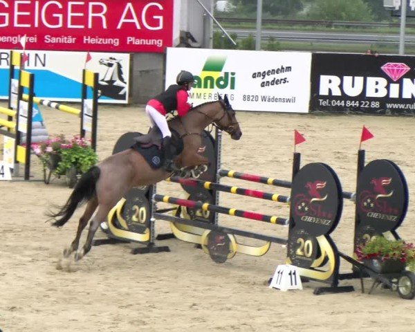Reitturnier Wädenswil 2024