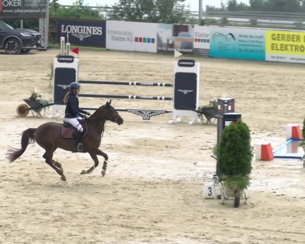 Reitturnier Wädenswil 2024