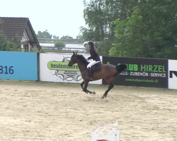 Reitturnier Wädenswil 2024