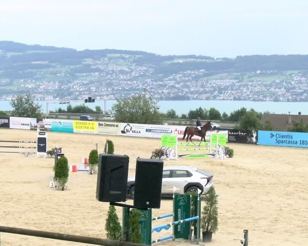 Reitturnier Wädenswil 2024