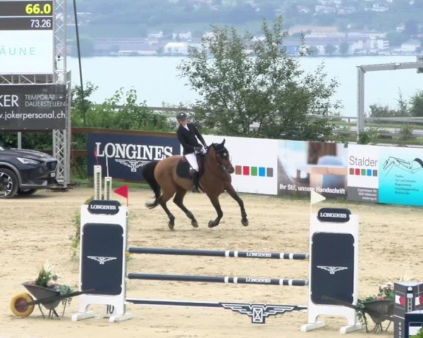 Reitturnier Wädenswil 2024