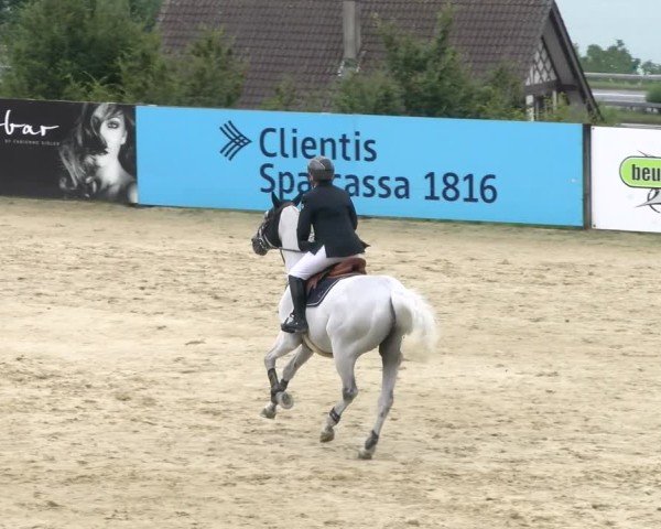 Reitturnier Wädenswil 2024